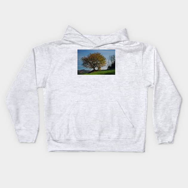 Autumn tree Kids Hoodie by bogfl